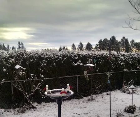Maple Lane Estates