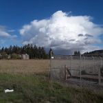 Nut Tree Ranch Mobile Estates #22