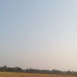 Sunnyview LLC