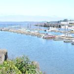 KM Resorts - Columbia Shores RV Resort