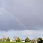 Homestead Community Inc
