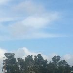 Driftwood RV Park