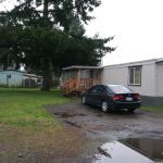 Prairie Pines LLC