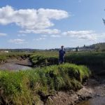 Timberland RV Park