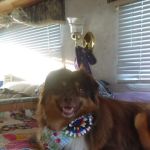 South Sound RV Park