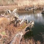 Soos Creek Estates