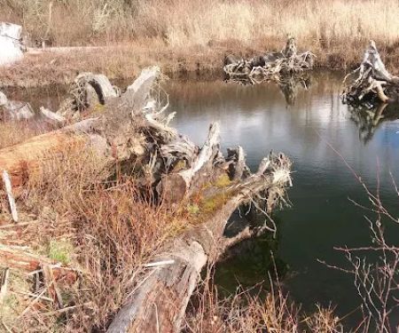 Soos Creek Estates