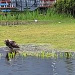 Lake Meridian Estates Mobile