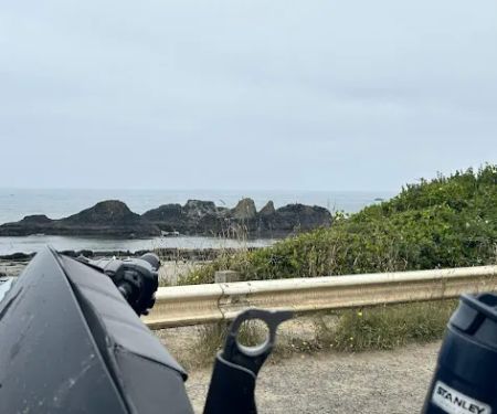 Seal Rocks RV Cove