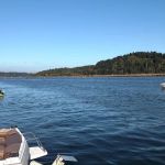 King Silver RV Park & Marina
