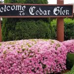 Cedar Glen Mobile Home & RV Park