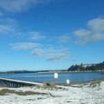 Salmon harbor