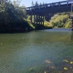 Eel Creek RV Park