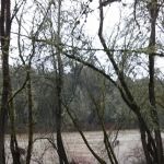 River Bend RV Park