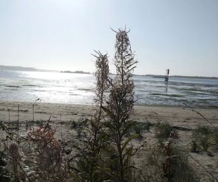 Bayway Trailer Park