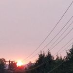 Twin Pines RV Park