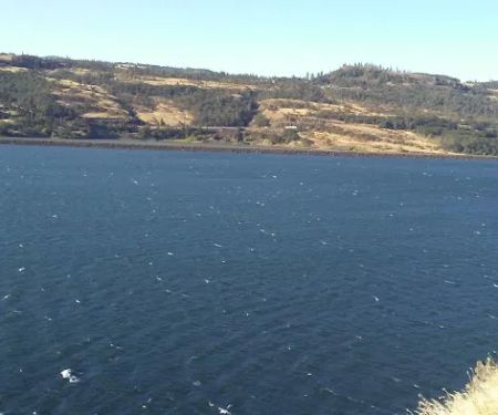 Vista Del Rio