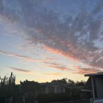 Cedarhill Estates