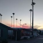 Del Ray Estates