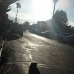 Liberty Mobile Home Park LLC
