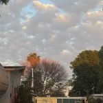 Small MHP - El Monte