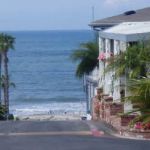 Palm Beach Park