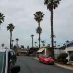 Las Palmas Estates
