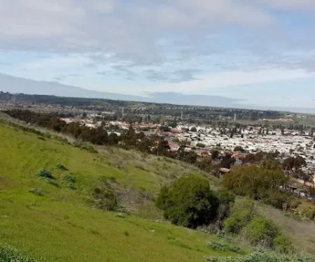Mission View Manor