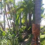 Tiki Mobile Village