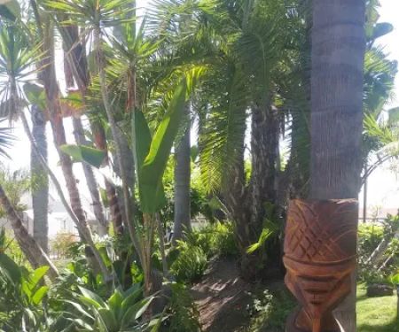 Tiki Mobile Village