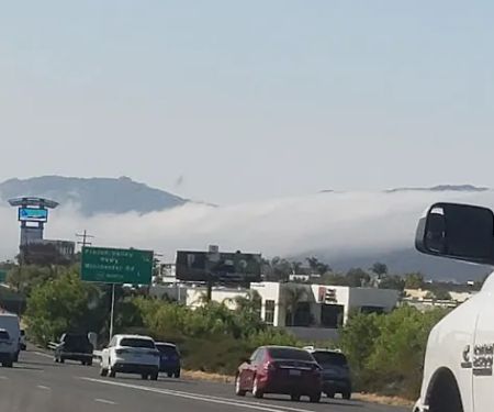 Murrieta Palms