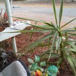 Oasis Mobile Home Park
