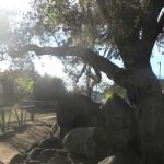 Mountain Shadows Mobile Home