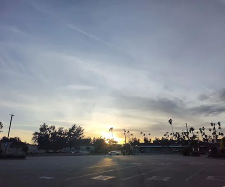 Park Royale