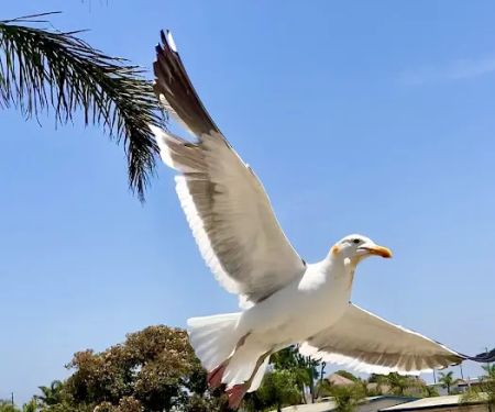 Ocean-Aire Mobile Home Estates