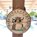 Polynesian Village