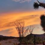 Lake Mead RV Village