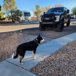 Desert Eagle RV Park on Nellis AFB