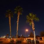 Paradise Trails Mobile Home Pk