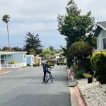 Lamplighter Salinas