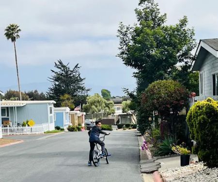 Lamplighter Salinas