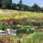 Brookview Park