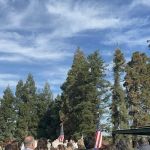 Westfork Estates