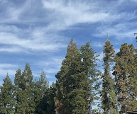 Westfork Estates