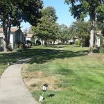 Royal Oaks