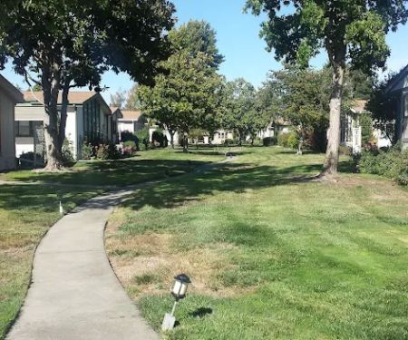 Royal Oaks