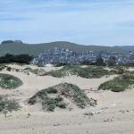 Morro Dunes RV Park