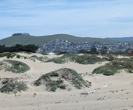 Morro Dunes RV Park