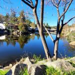 Castle City Mobile Home Community