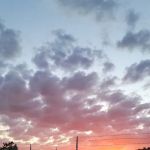 Frogtown RV Park & Calaveras